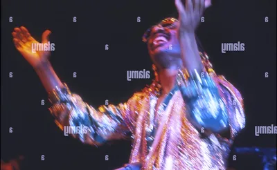 Stevie Wonder